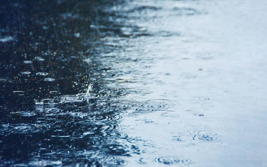 Wat is de impact bij wateroverlast?